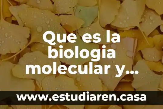 Que es la caja archivadora 4 Que es la biologia molecular y para que sirve