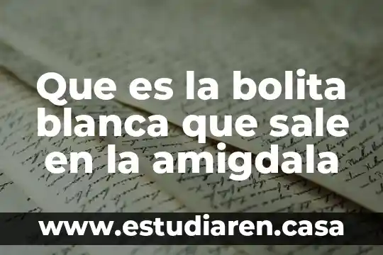 Que es una marca blanca ejemplos 8 Que es la bolita blanca que sale en la amigdala
