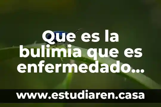 Que es la bulimia que es enfermedado trastorno