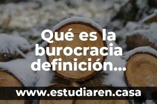 Qué es la burocracia definición sencilla