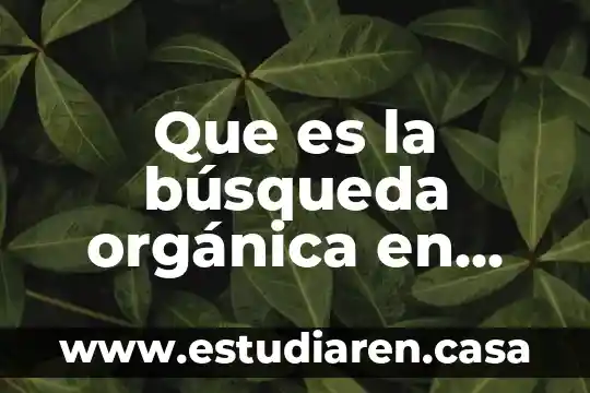 Que es la saturacion innecesaria dé informacion en internet 5 Que es la búsqueda orgánica en internet