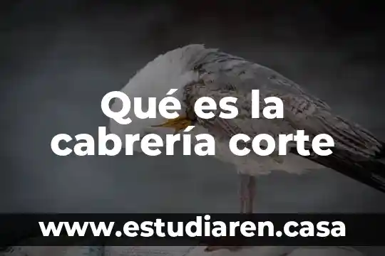 Que es el corte cabeza de cerdo 3 Qué es la cabrería corte