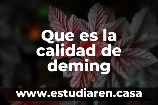 Que es la calidad de deming