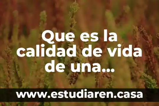 Que es la calidad de vida de una poblacion