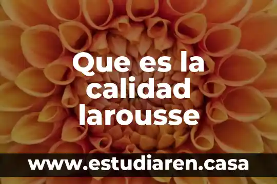 Que es la calidad larousse
