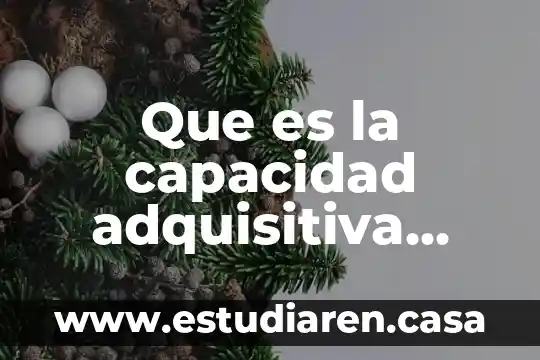 Que es la capacidad adquisitiva definicion