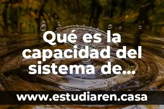 Investigar qué es un sistema 8 Qué es la capacidad del sistema de producción