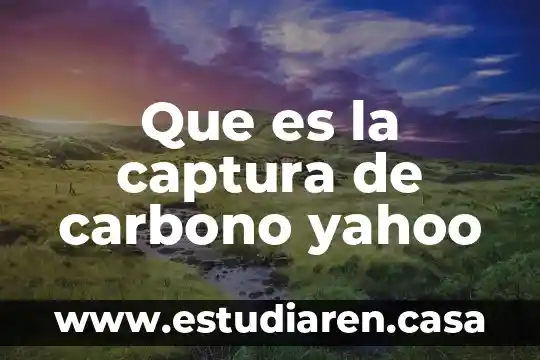 Que es la captura de carbono yahoo