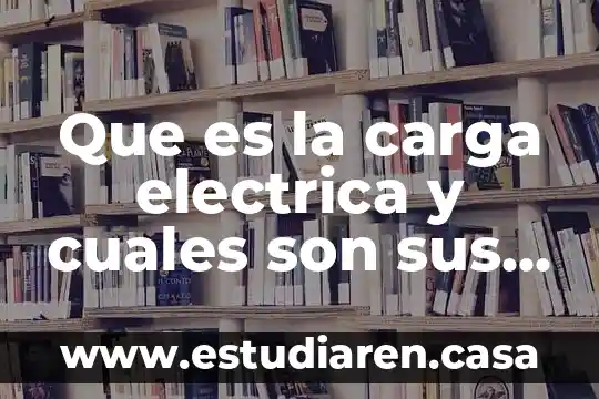 Que es la anguila electrica 3 Que es la carga electrica y cuales son sus unidades
