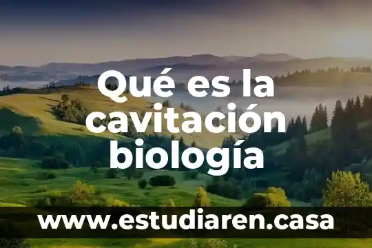 Qué es la cavitación biología