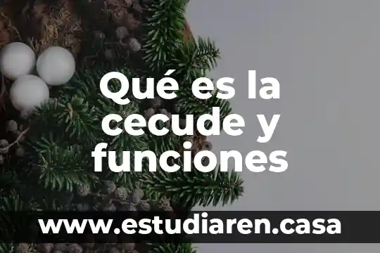Que es un smatron y sus funciones smatron 3 Qué es la cecude y funciones