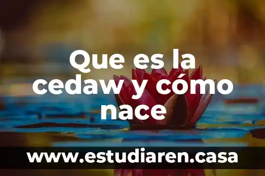 Que es la cedaw y cómo nace
