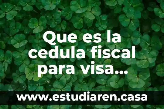 Que es la constancia de identificacion fiscal 3 Que es la cedula fiscal para visa americana