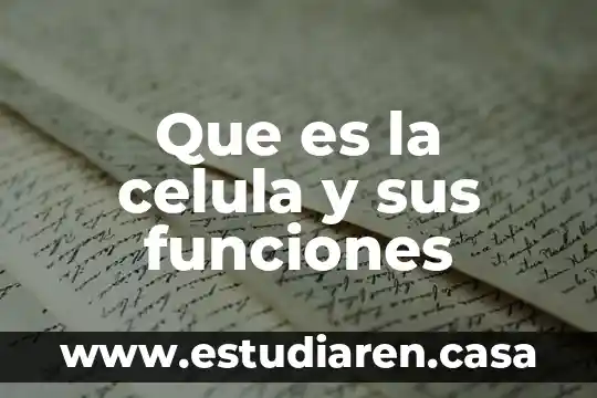 Qué es célula animal y vegetal sus partes y funciones 7 Que es la celula y sus funciones