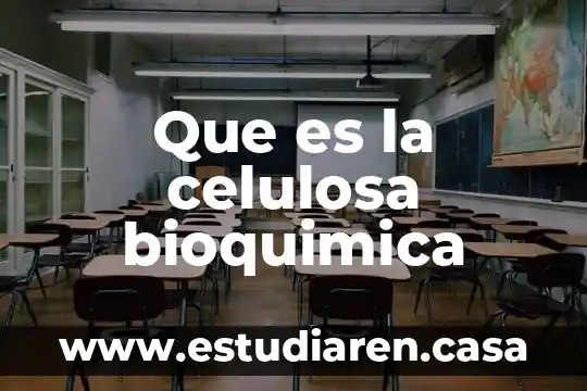Que es agente de carga celulosa microcristalina 4 Que es la celulosa bioquimica