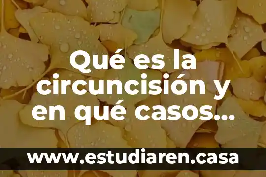 Qué es el celofán y sus características 5 Qué es la circuncisión y en qué casos debe realizarse