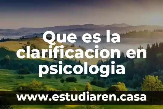 Que es la clarificacion en psicologia