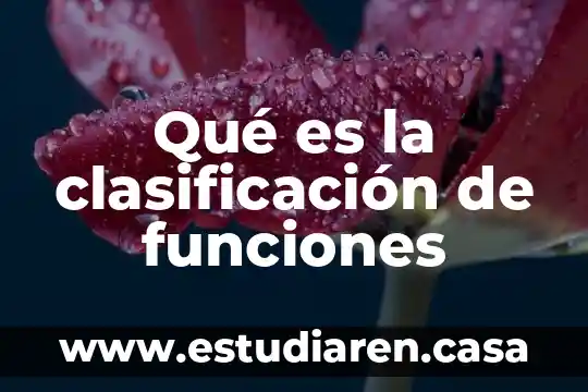 Qué es la clasificación de funciones