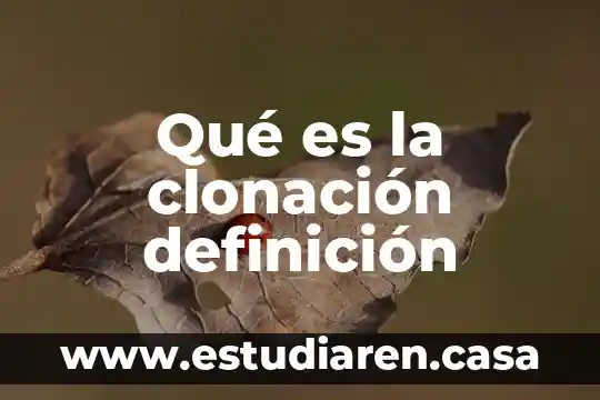 Qué es la clonación definición