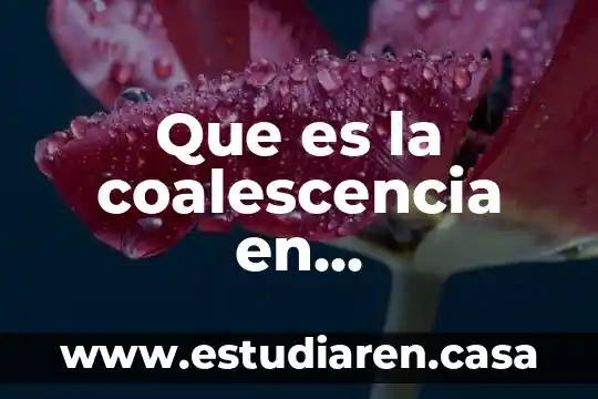 Cinemática de mecanismos que es 5 Que es la coalescencia en mecanismos de polimerizacion