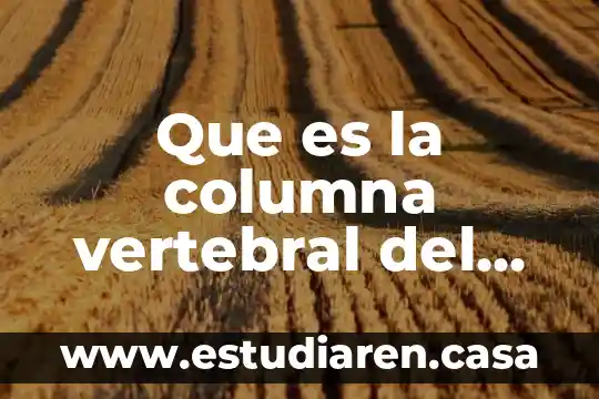 Que es la columna vertebral del ser humano