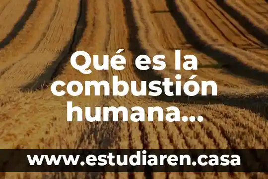 Qué es CE en los productos 5 Qué es la combustión humana espontánea en la CE RI