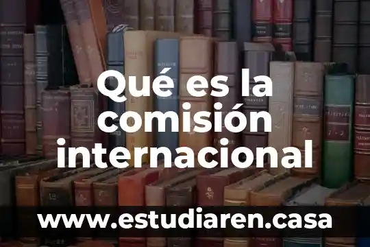 Qué es la comisión internacional