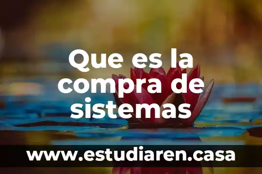 Qué es supra sistemas 3 Que es la compra de sistemas