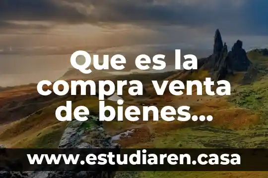 Que es una grafica de dipercion xy 7 Que es la compra venta de bienes raices