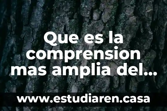Que es la diversidad cultural en el mundo para niños 8 Que es la comprension mas amplia del mundo