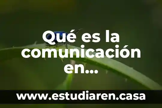 Que es código en la comunicación 4 Qué es la comunicación en comprensión oral y escrita