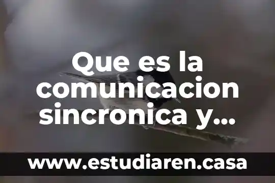 Que es la comunicacion sincronica y dos ejemplos