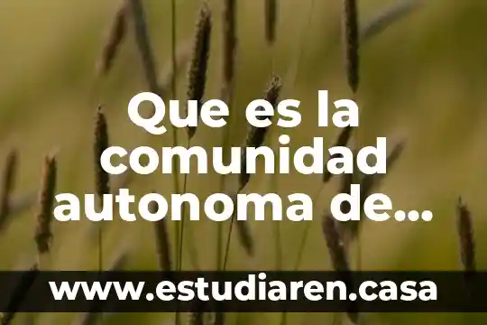 Vasca españa por que es autonoma 5 Que es la comunidad autonoma de madrid