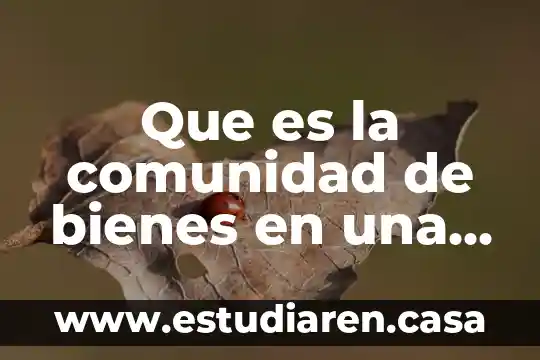 Que es un plan de adquisiciones de bienes y servicios 5 Que es la comunidad de bienes en una empresa