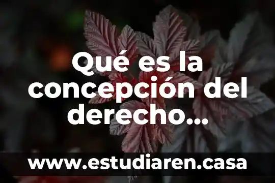 Que es retracto en derecho civil 3 Qué es la concepción del derecho positivo