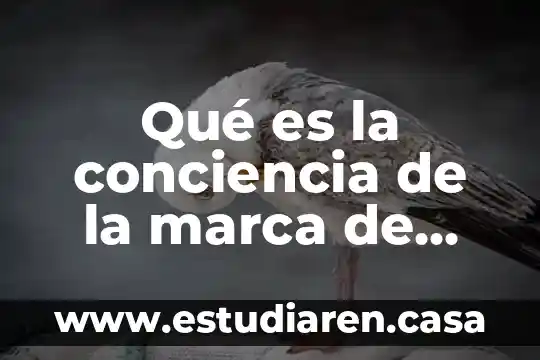 Qué es la conciencia de la marca de Bimbo
