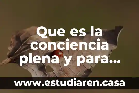 Que es la armonia personal 4 Que es la conciencia plena y para que sirve