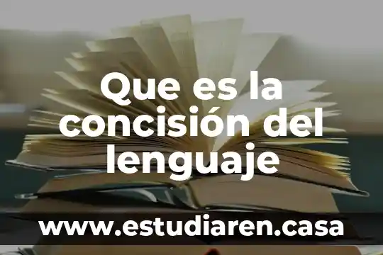 Que es la concisión del lenguaje