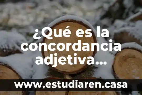Que es sistema de organizacion 8 驴Qu茅 es la concordancia adjetiva ejemplos?