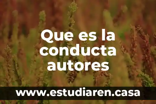 Que es la conducta autores