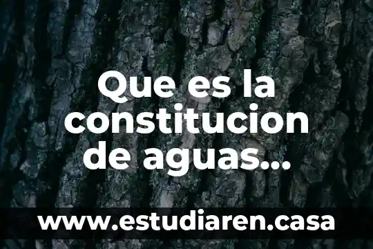 Qué es y para qué sirve un espin 8 Que es la constitucion de aguas calientes