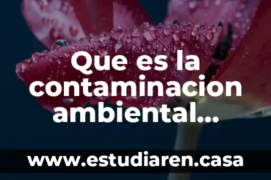 Que es la contaminacion ambiental audio