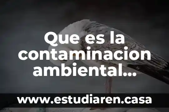Que es la contaminacion ambiental cuantos tipo hay caracteristicas benefios