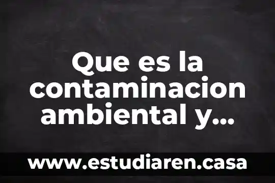 Que es la contaminacion ambiental y sus posibles soluciones