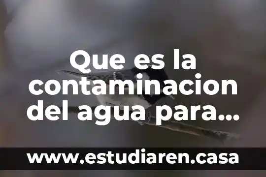 Que es la contaminacion del agua para niños escritos