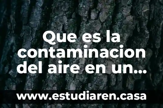Que es la contaminacion del aire en un periodico