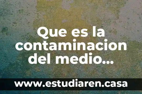 Que es la contaminacion del medio ambiente y sus caracteristicas