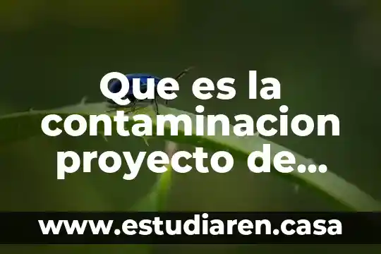 Que es la contaminacion proyecto de investigacion
