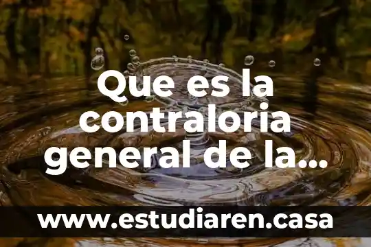 Que es in en enfermeria 6 Que es la contraloria general de la republica