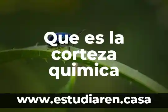 Que es la corteza quimica
